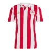 Camiseta de fútbol Olympiakos 100th Aniversario 2024-25 - Hombre